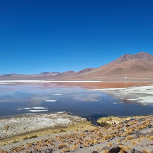 img 20260109 wa0078