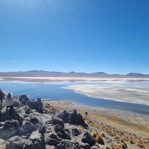 img 20260109 wa0080