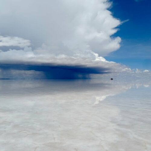 decierto blanco