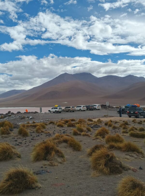 img 20260327 wa0037