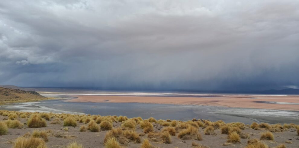 IMG 20260327 WA0038 1 990x490