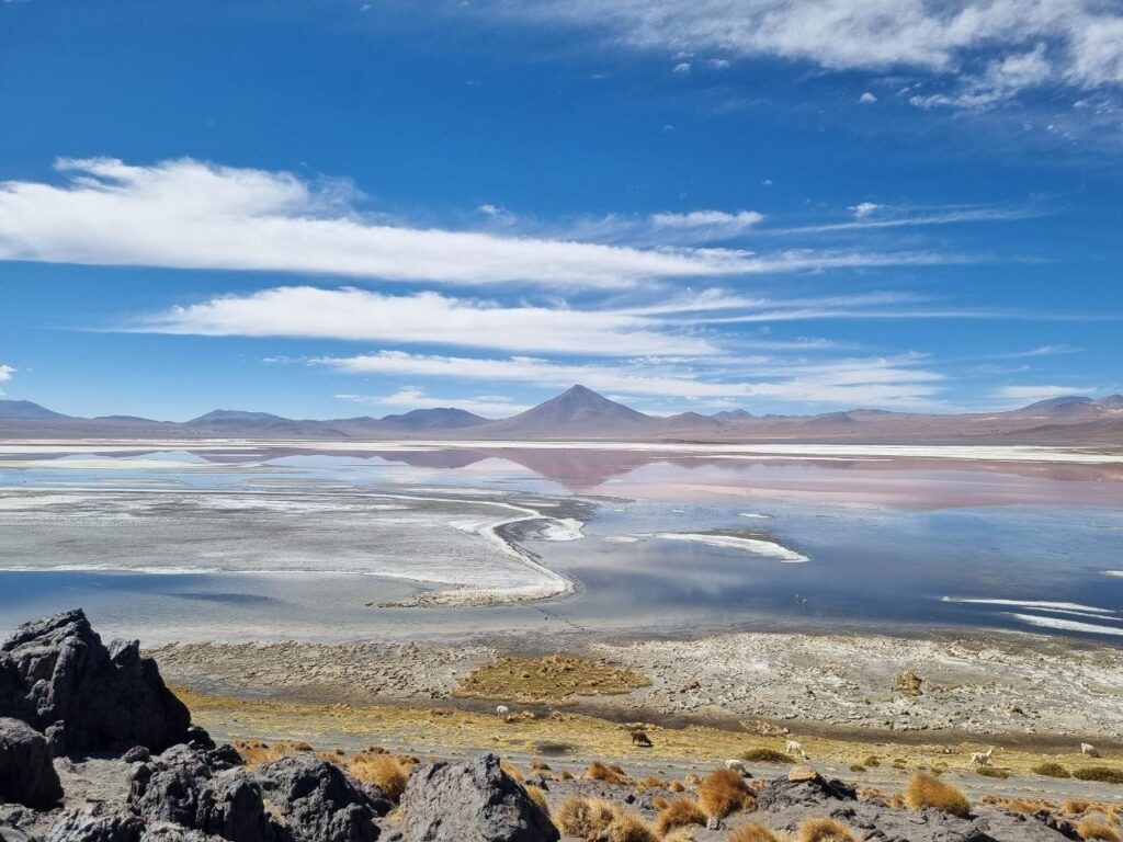 Descubriendo el Mar de Sal: Una Guía para Viajar al Salar de Uyuni Desertos Brancos