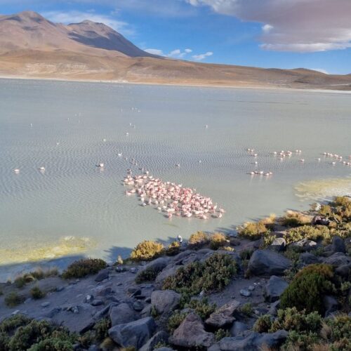laguna colorada