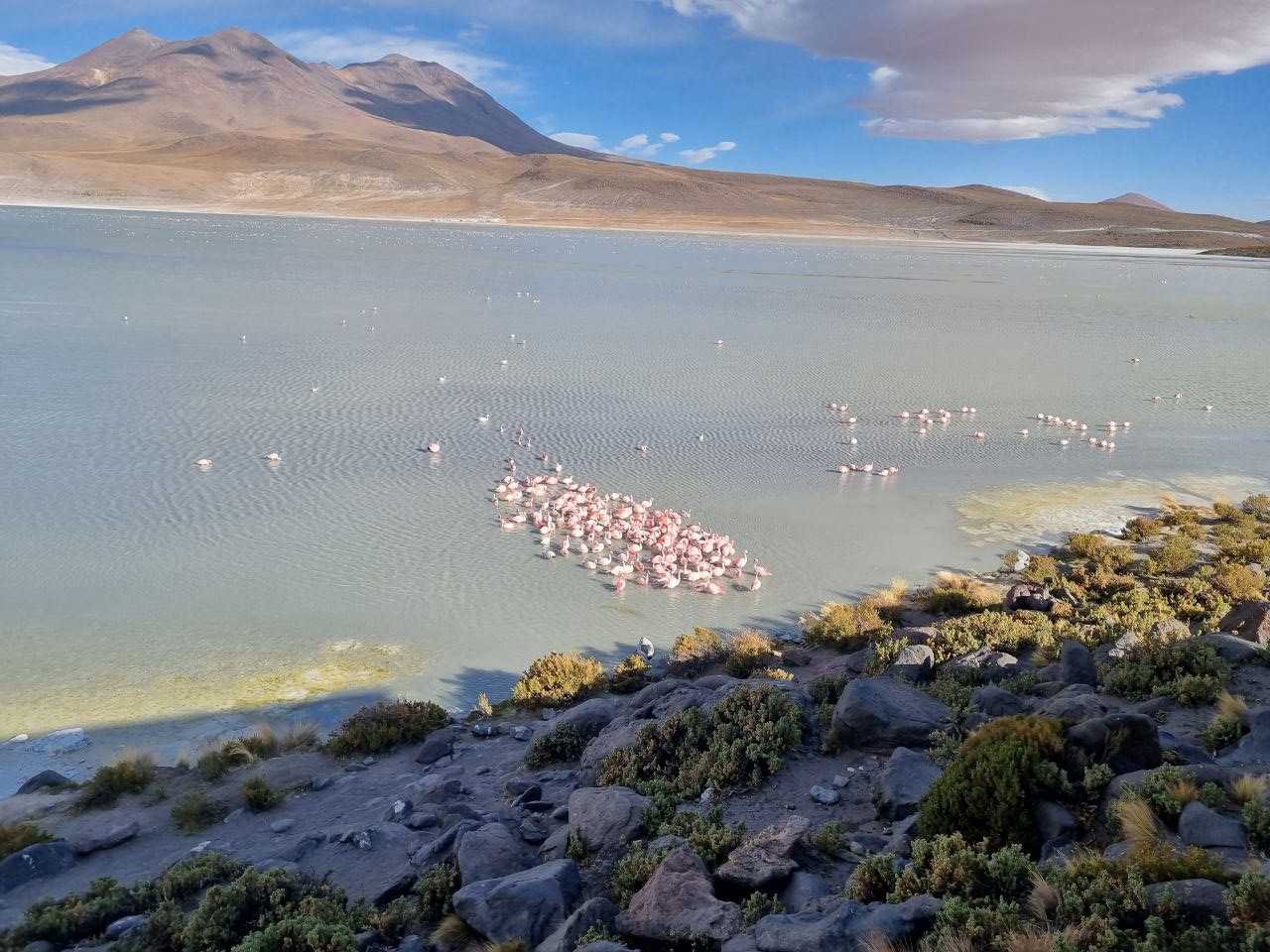 laguna colorada