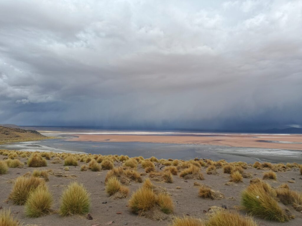 Laguna de Cores Uyuni